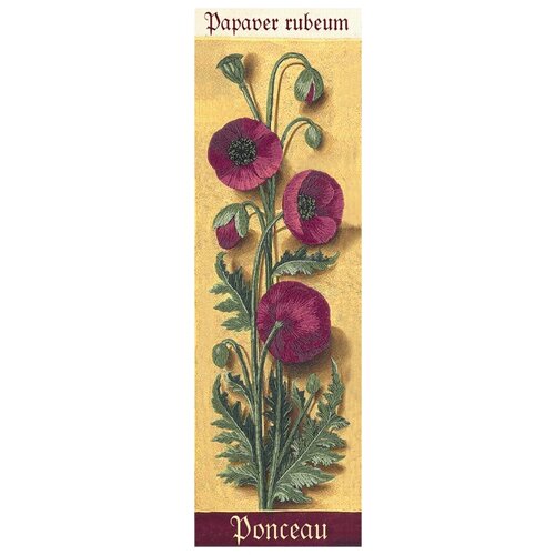 фото Набор для вышивания panna "живая картина. ботаника. маки", арт. jk-2122 (жк-2122)