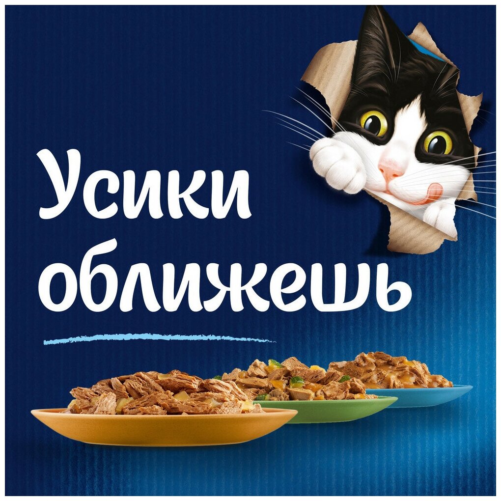 Felix Sensations пауч для кошек (кусочки в соусе) Говядина и томат, 75 г. упаковка 26 шт - фотография № 5