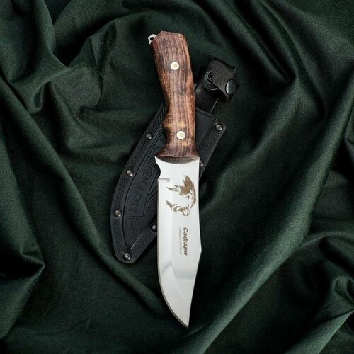 Нож Сафари, нержавеюща сталь 65х13 нож метательный pirat спорт 14 длина лезвия 12 см