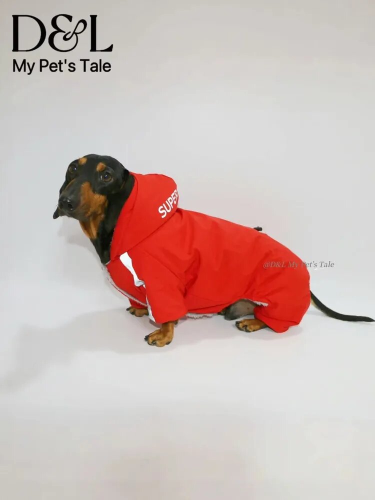 D&L My Pet's Tale комбинезон для собак зимний тёплый с флисом, водостойкая четырёхлапая одежда