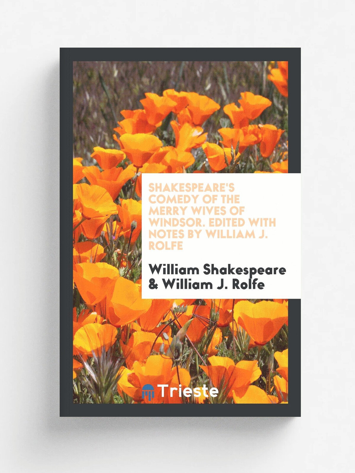 Shakespeare's comedy of the Merry wives of Windsor;
