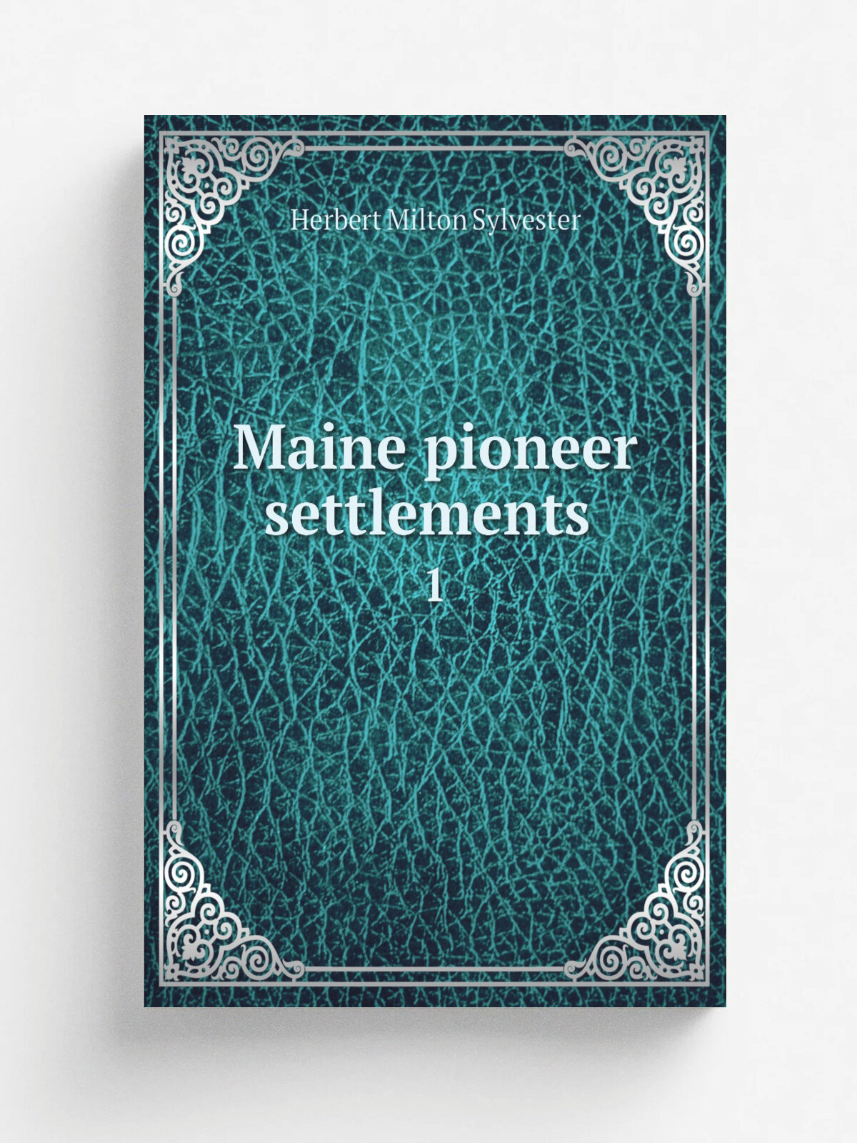 Maine pioneer settlements . 1 | Herbert Milton Sylvester | 1909 | Boston, W.B. Clarke co. | Репринт