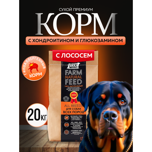 фото Сухой корм для собак крупных и средних пород buddy dinner orange line гипоаллергенный с лососем 20 кг