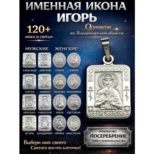 фото Иконка оптимабизнес, серебристый