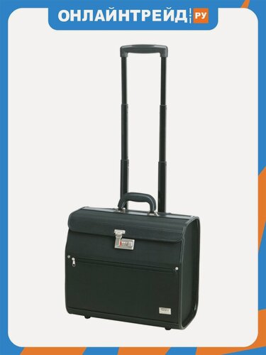 Изображение товара Чемодан для парикмахерских инструментов Dewal Professional DEWAL черный, 42х23х37 см