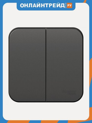 Изображение товара Выключатель Systeme Electric (schneider Electric) SCHNEIDER ELECTRIC BLANCA 2-клавишный (cх.5) изол. ПЛ, 10А, 250B, антрацит
