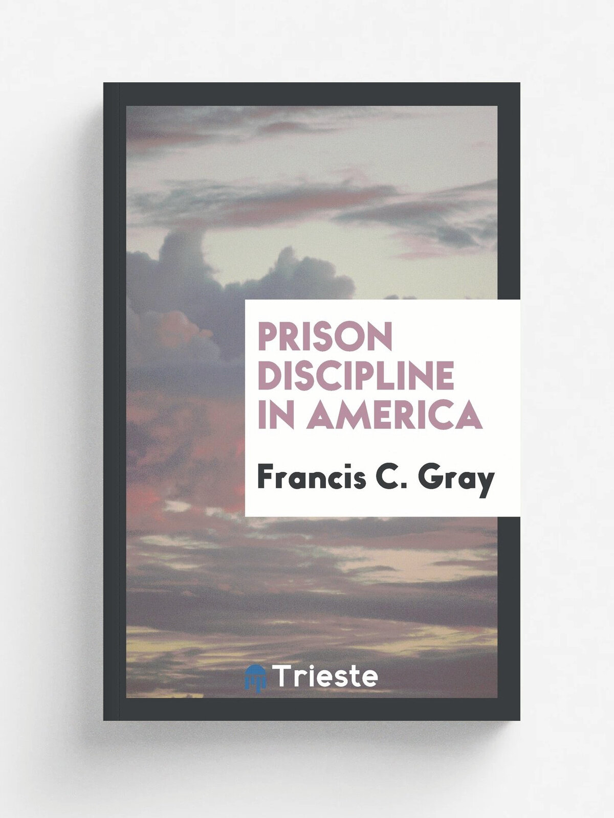 Prison Discipline in America
