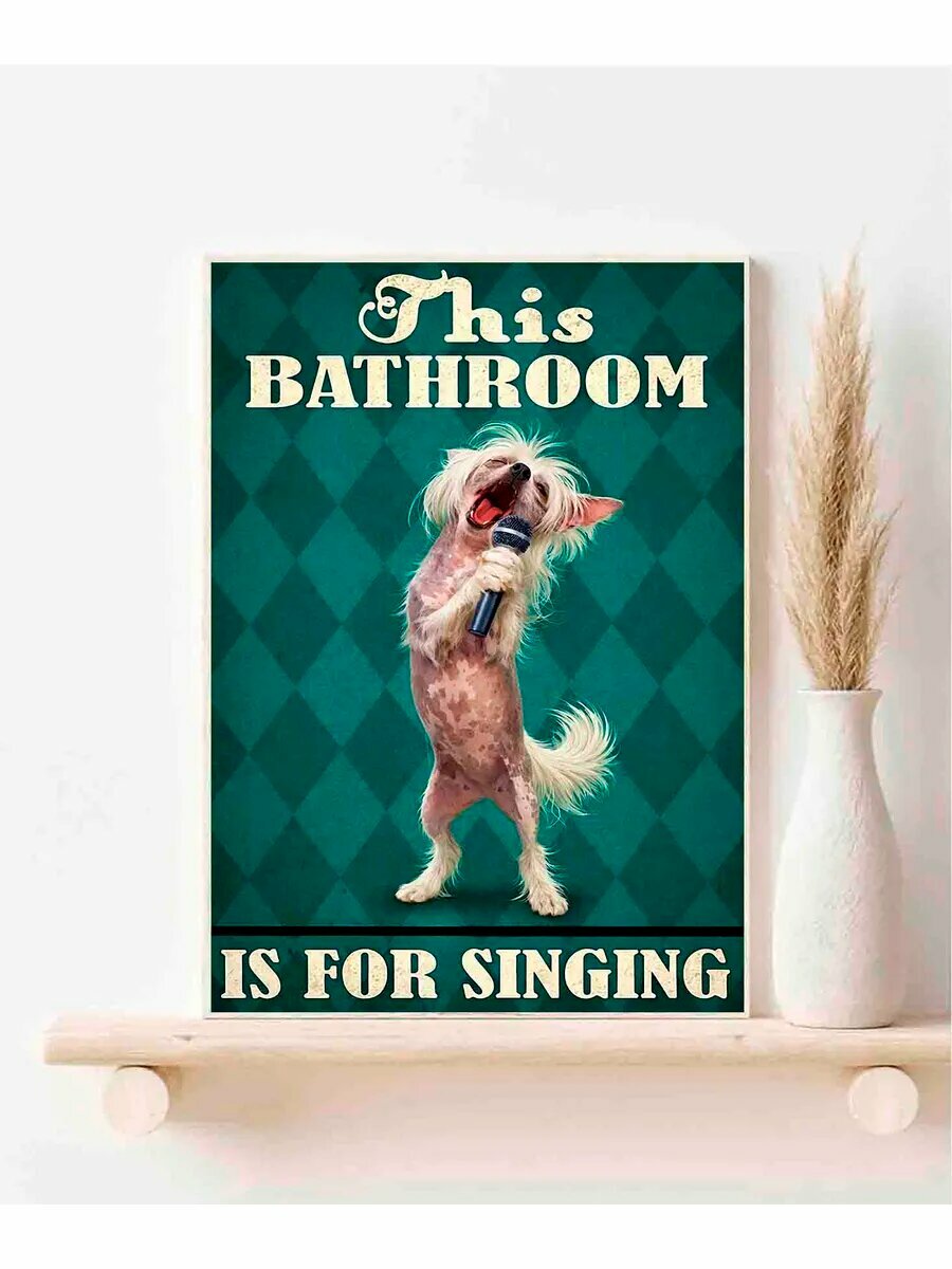 Китайская хохлатая собака, This Bathroom is For Singing, Пл