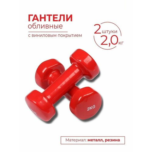 Гантели обливные с виниловым покрытием INDIGO 20кгх2шт Красный 1789₽