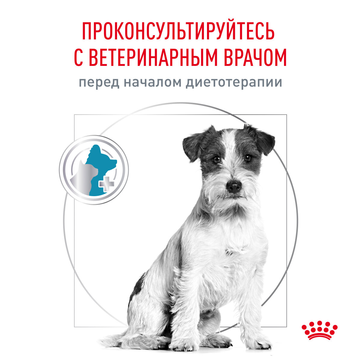 Royal Canin Hypoallergenic Small Dog (Гипоаллердженик Смол Дог) Корм сухой диетический для взрослых собак при пищевой аллергии, 1 кг - фотография № 8