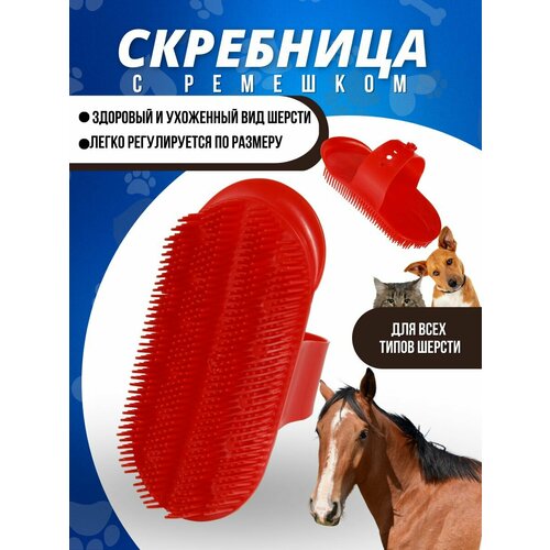 Sweethorse / Скребница для животных скребница