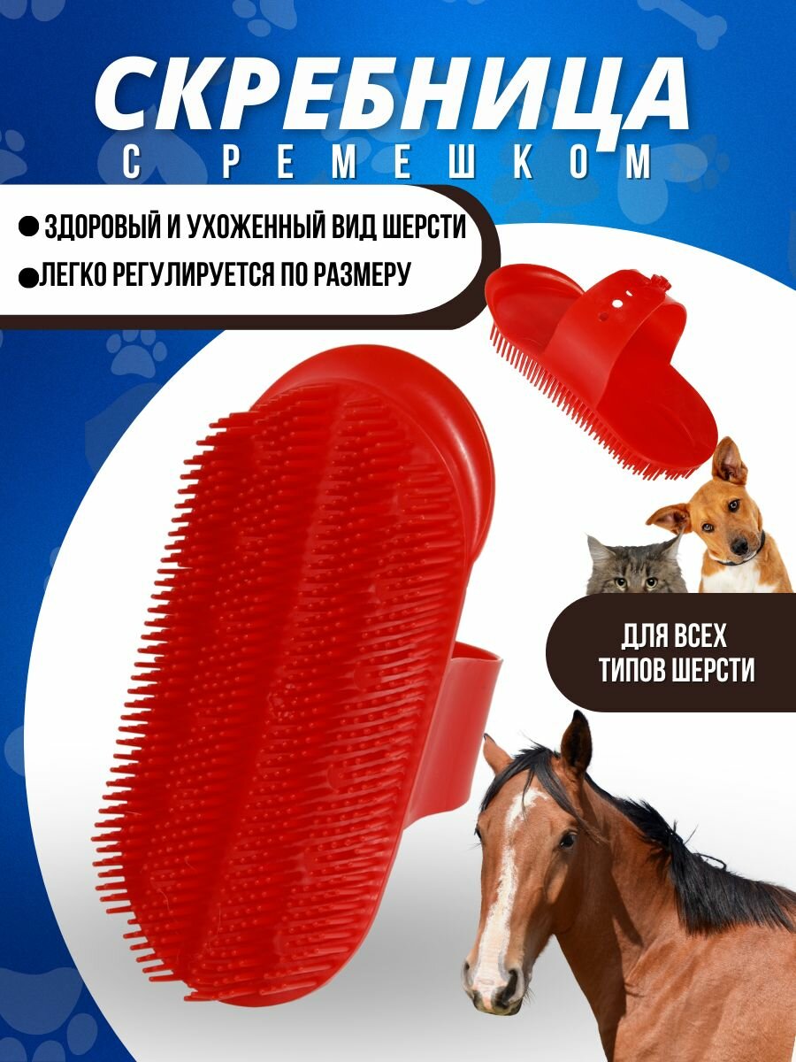 Sweethorse / Скребница для животных