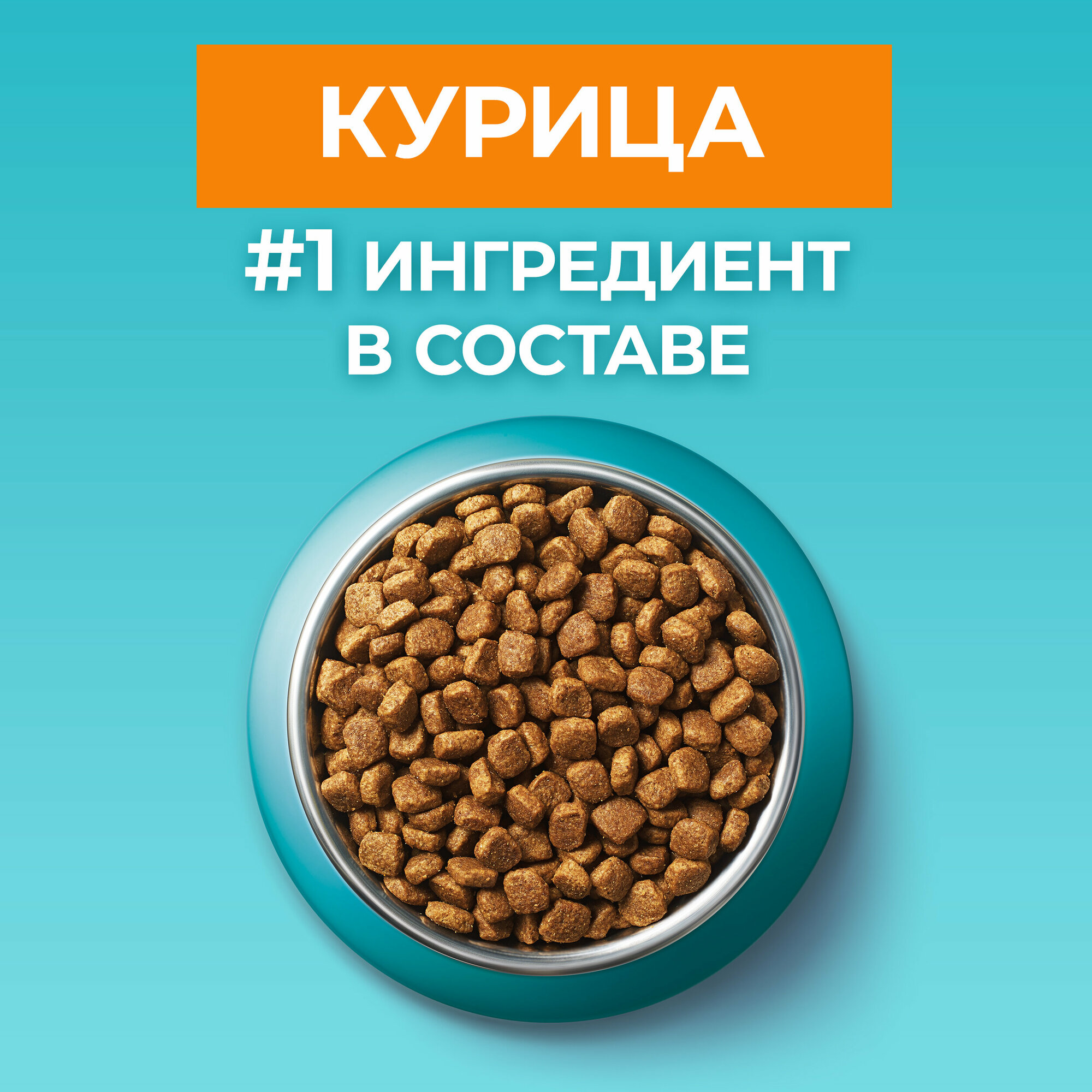 Сухой корм Purina ONE для домашних стерилизованных кошек и кастрарованных котов, с высоким содержанием курицы и цельными злаками, 1,5кг - фото №11