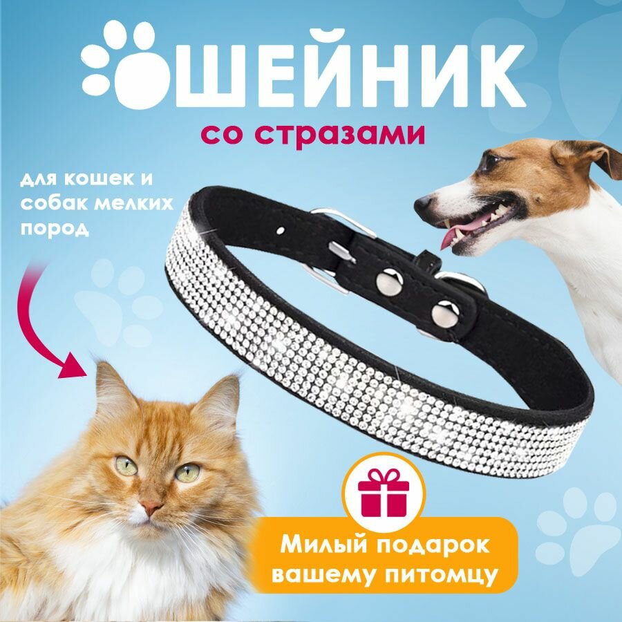 фото Ошейник со стразами для кошек и собак мелких пород (Чёрный) M