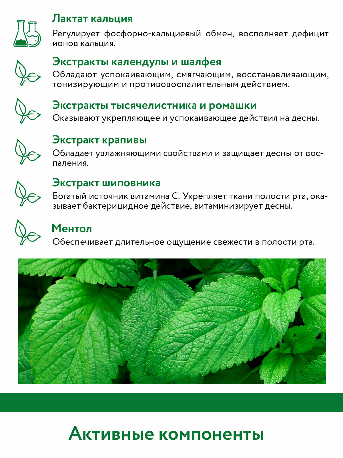 Лекарства От Воспаления Десен Aravia Laboratories Зубная паста для здоровья десен Active Toothpaste 100 мл 1 шт