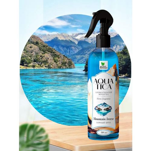 Ароматизатор воздуха 350₽