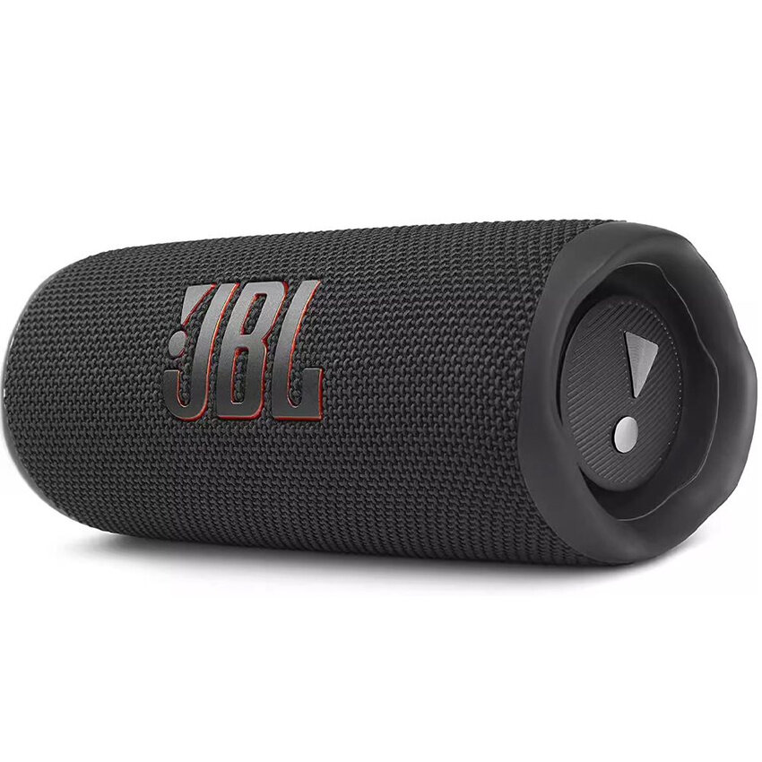 фото Беспроводная аудиосистема для улицы FLIP6