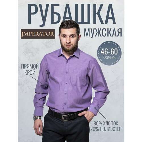 фото Рубашка imperator smart 4, размер 39 ворот/46ru/170-178, фиолетовый