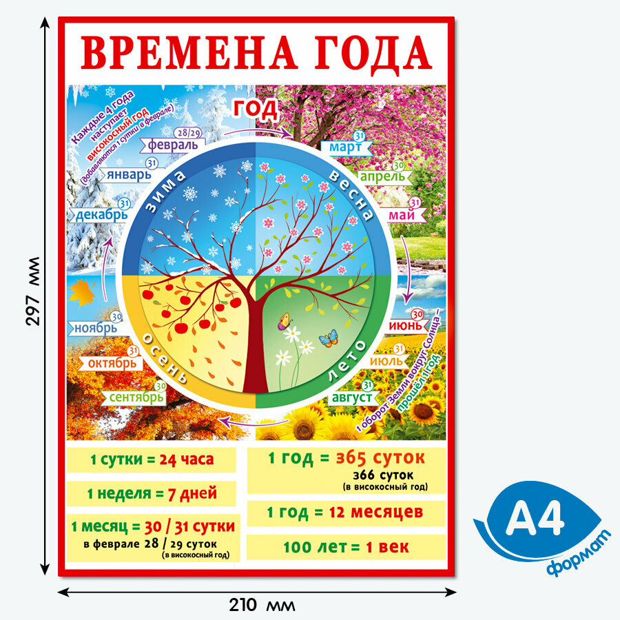 Обучающие плакаты Определяем время, цвета, алфавит, счет от 1 до 10, времена года — фото 1