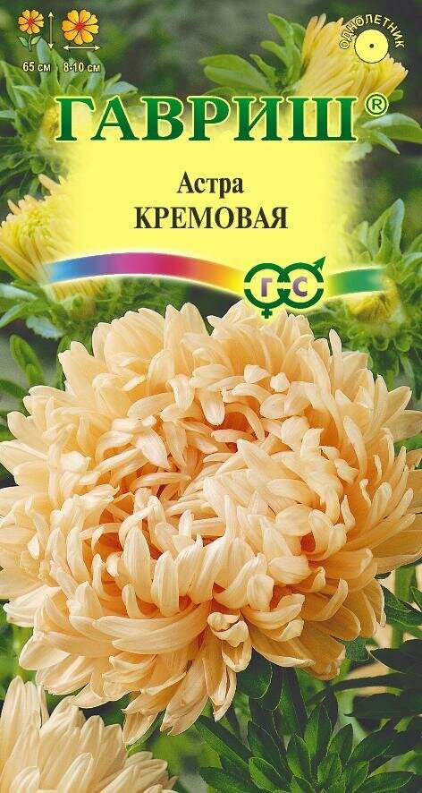 Семена Астра Кремовая 03г Одн 65см (Гавриш)