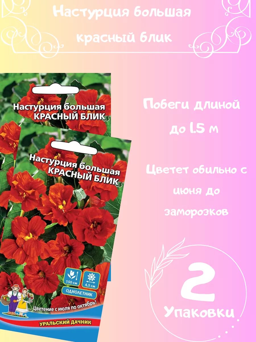 Настурция Большая Красный Блик 2 шт