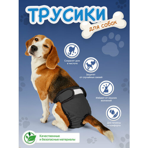 Трусы для собаки во время течки многоразовые M, подгузники для собак крупных пород впитывающие