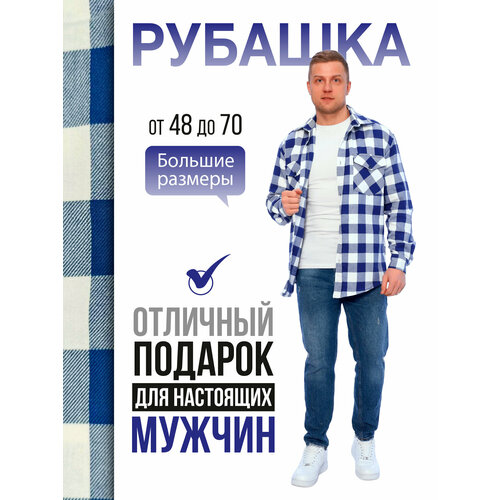 фото Рубашка , размер 48, белый/синий