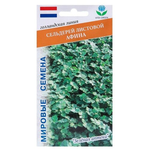 Семена Сельдерей листовой 