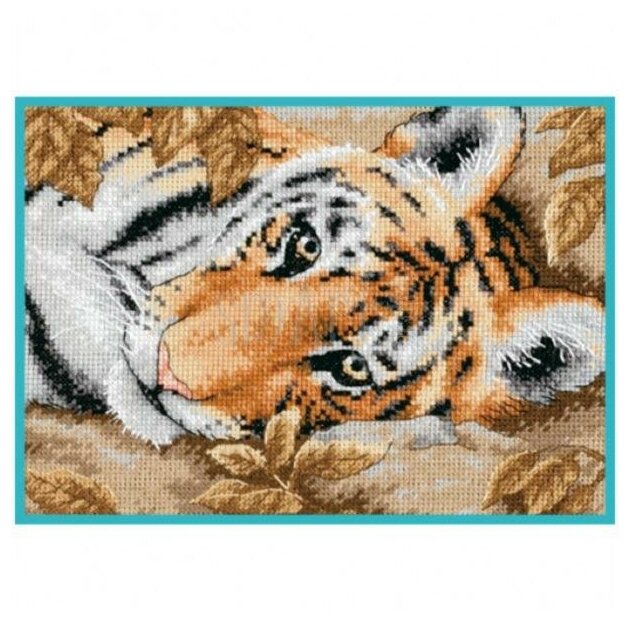 65056-DMS Притягательный тигр Dimensions - фото №2
