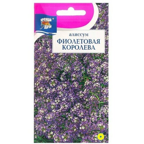 Семена цветов Алиссум Фиолетовая королева, 0,1 г 10 упаковок семена лобулярия фиолетовая королева 0 2г