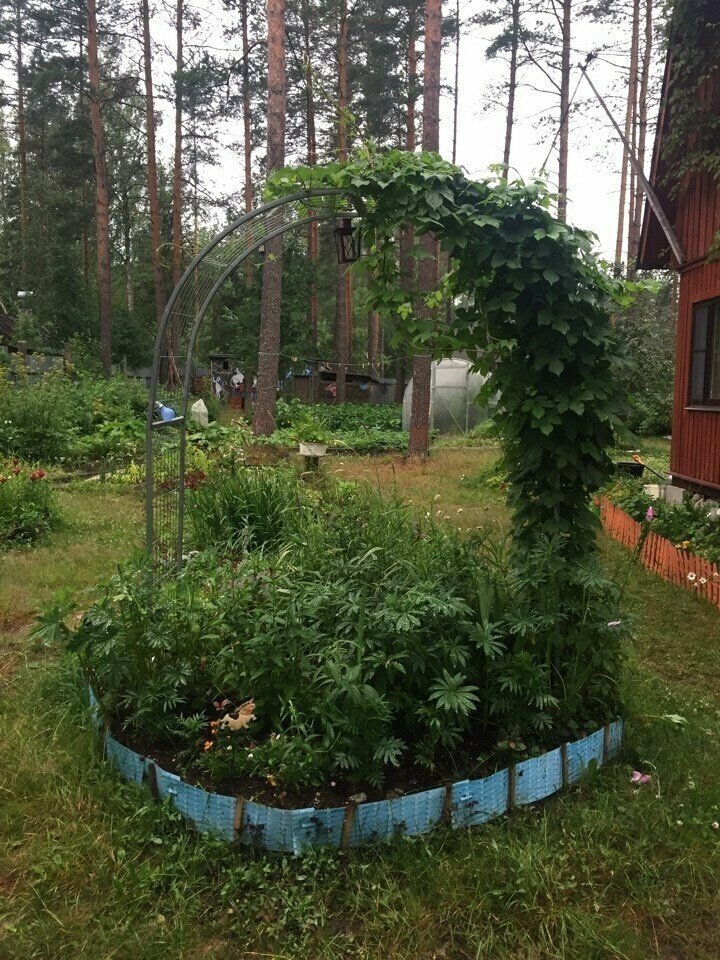 Арка садовая для вьющихся растений, универсальная - разборная, оцинкованная Белая 3Д. 230 х 215 х 50 см. - фотография № 6