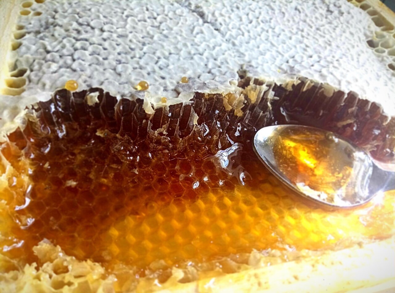 Гречишный мед с разнотравьем - фотография № 2