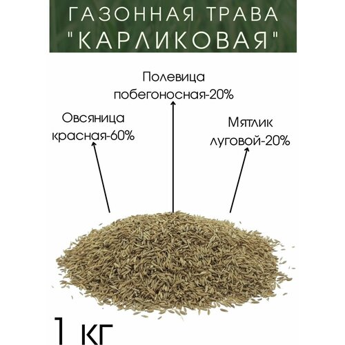 Газонная Трава Карликовая 1кг газонная трава семена дачный газон 3 5 кг go grass