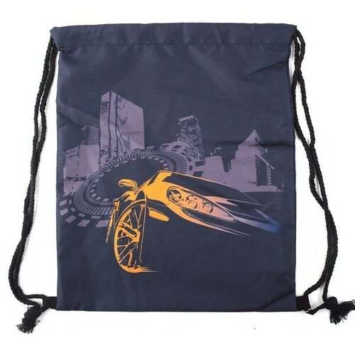 Сумка для обуви кокос Auto Racing, 34*43 см 210228