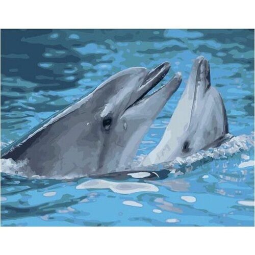 Картина по номерам Игры дельфинов 40х50 см