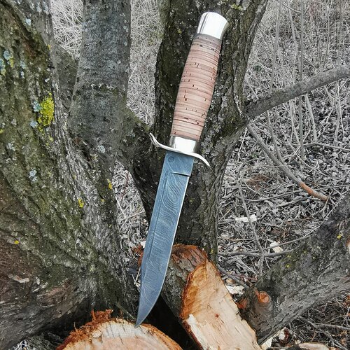 фото Нож разведчика "нр-40" классический из дамасской стали с литьём из мельхиора, рукоять наборная береста