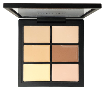     PRO CONCEAL AND CORRECT PALETTE (Light/Clair)