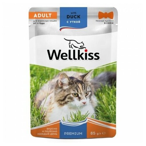 Wellkiss Adult влажный корм для взрослых кошек с уткой в соусе, 85 г, 20 шт