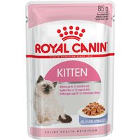 Влажный корм в желе Royal Canin Kitten Jelly (Киттен Желе) для котят до 12 месяцев, 24*0,085 г