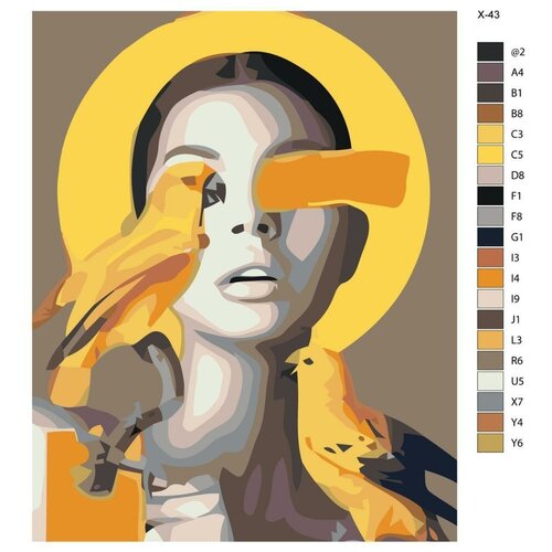 Картина по номерам X-43 Девушка и солнечные птицы 40х50