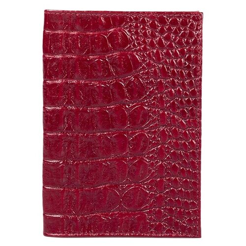 Обложка для паспорта Fabula AS5 O.1.KM.бордо