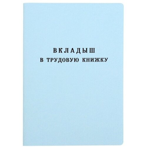 Вкладыш в трудовую книжку без голограммы 2 шт вкладыш в трудовую книжку без голограммы