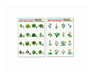 Мир растений-2. Комплект разрезных карточек ( 4 карт. листа по 16 карточек), (Сфера, 2012)