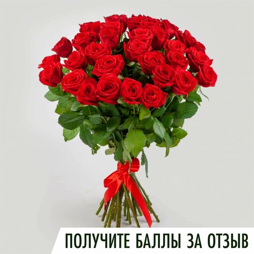 Букет из 35 красных роз 40 см. Живые свежие цветы LoVa Flowers