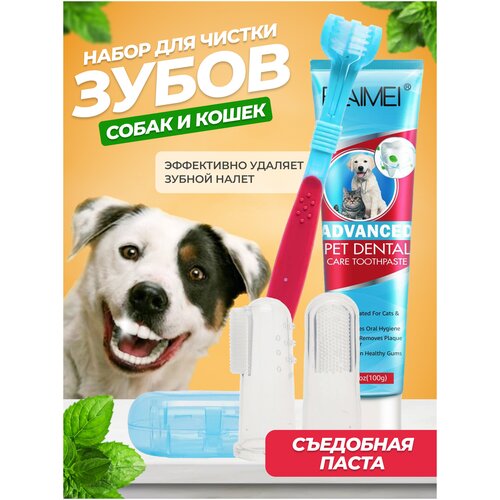 Набор зубная паста и щетка для животных зубная щётка для собак на палец duvo 2 шт в ассортименте бельгия