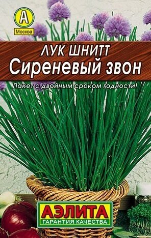 Лук шнитт Сиреневый звон (Аэлита)