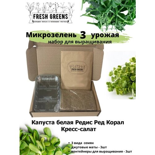 Микрозелень для выращивания Набор Fresh Greens (Капуста белокочанная Редис Ред Корал Кресс-салат)