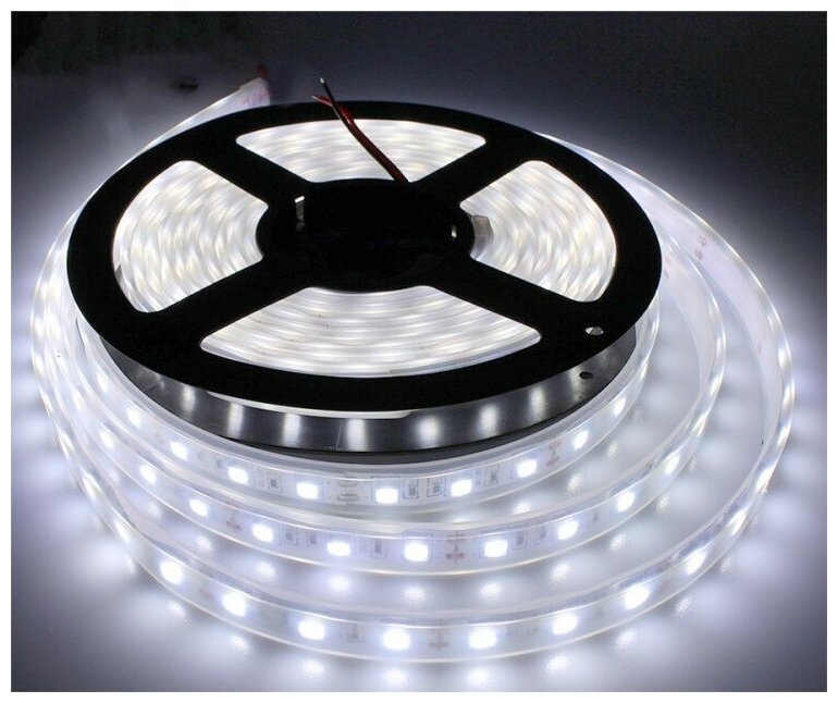 Ecola Лента светодиодн. 24V 14.4W/m 60Led/m IP20 6000K 5м 840Lm/m 6K (интер) STD SMD5050 S2DD14ESB (арт. 524191) — фото 1