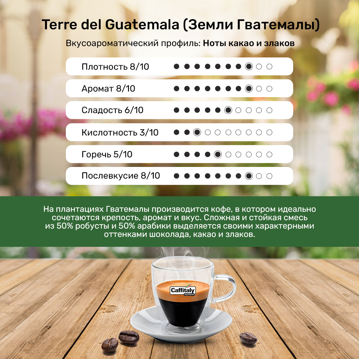 Капсулы Caffitaly для кофемашины, Terre del Guatemala, 10 капсул