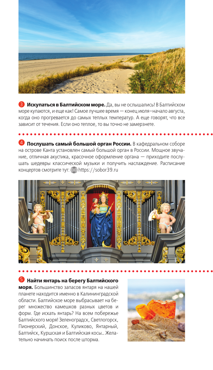 Калининград и Калининградская область: Зеленоградск, Куршская коса, Светлогорск, Балтийск, Янтарный, Черняховск, Советск, Правдинск, Железнодорожный: путеводитель. 2-е изд., испр. и доп. - фото №9